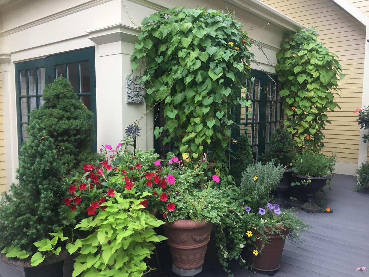 Mary Prentiss Inn Cambridge Bagian luar foto
